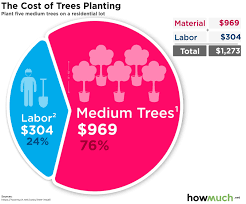 The cost structure for such work will be very much the same as tree removals. How Much Does It Cost To Plant A Tree