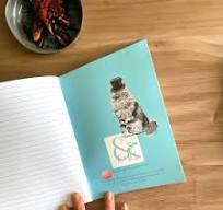Set of 3 A5 animal lined notebooks