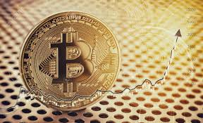 Financial Growth Concept With Golden Bitcoin With Forex Chart