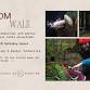 Mushroom Walk Whidbey Island event image