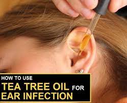 How To Use Tea Tree Oil For Ear Infection Oils For Ear Infection Essential Oils Ear Infection Ear Ache Essential Oil