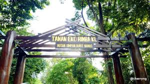 Di hutan sekitar jalan tol. Hutan Simpan Bukit Nanas Kuala Lumpur å‰éš†å¡å'–å•¡å±± Steemit