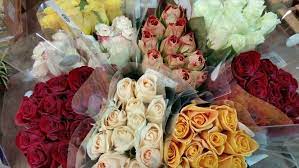 Check spelling or type a new query. 23 Best My Floral Favs From My Department Sprouts Farmers Market Ideas Sprouts Farmers Market Bloom Floral