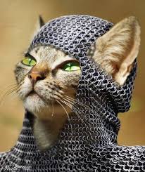 what make me happy of freedom cats animals dog cat