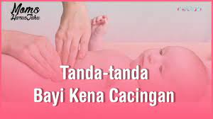 Saranan rutin pemeriksaan dan pengambilan ubat tersebut adalah pada durasi 6 bulan sekali, namun jika anda dijangkiti, pembasmian perlu dilakukan dengan lebih kerap. Tanda Tanda Bayi Kena Cacingan Momharustahu Youtube