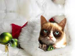 Grumpy Cat Christmas Picture Grumpy Christmas Cat Wallpaper Download Grumpy Cat Quotes Grumpy Cat Christmas Cat Pics