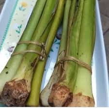 Buat kamu yang ingin mencoba membuat kue lompong mari kita simak resep di bawah ini Jual Batang Sayur Lompong Bahan Masakan Tradisional Enak Jakarta Pusat Herbal Bibit Tokopedia