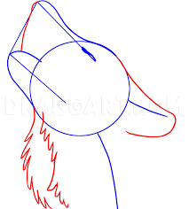 Wolf art, simple shapes to start drawing and creating our wolf. How To Draw A Howling Wolf Step By Step Drawing Guide By Dawn Dragoart Com