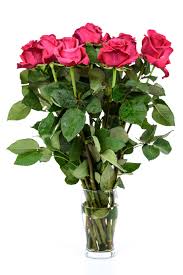 #flower store #corporate flower #corporate flower delivery #flower gift #online flower #corporate world. Hd Wallpaper Photo Of Red Roses In Glass Vase Flower Gift Love Beauty Wallpaper Flare