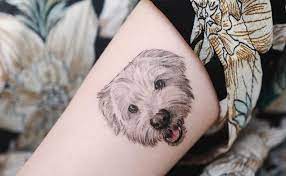 Tatuagem Cachorro