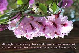 Azalea Flowers Inspirational Quotes For 2018 Beautiful Flowers Beautiful Flowers With Quotes Flower Ph Azalea Flower Beautiful Flowers Inspirational Quotes
