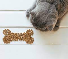 Pin On Cat Food