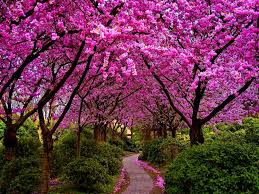 Judea is a region in the land of israel. Symbols Of Spring Signs Of Spring Spring Season