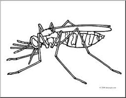 You will get 1 mosquito coloring page in jpg (2550px x 3300px) for your kids coloring project. Clip Art Insects Mosquito Coloring Page I Abcteach Com Abcteach