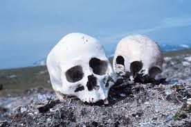 How to become a forensic anthropologist. Forensic Anthropology Wikipedia