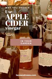 Apple cider vinegar promotes the repellent activity of the essential oil and creates a slightly acidic ph on the surface of your skin. Why You Should Use Apple Cider Vinegar In Your Garden Bees And Roses