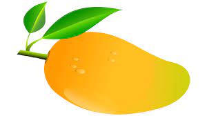 Find & download free graphic resources for mango. I Clipart Mango I Mango Transparent Free For Download On Webstockreview 2021