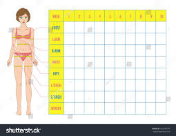 Measurement Chart Body Parameters Sport Diet Stock Vector