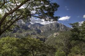 The Zimbabwe Mountain Guide Training Course - Chimanimani