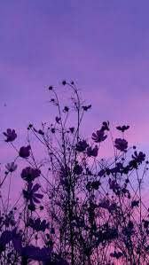Violet aesthetic flowers greeting card. Purple Aesthetic Purple Photo 43357434 Fanpop In 2021 Purple Wallpaper Sky Aesthetic Purple Aesthetic Wallpaper