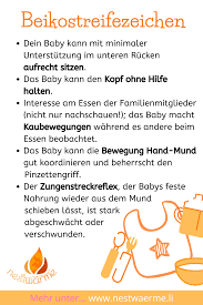 Die fleischfreie variante eignet sich als einstieg für babys unter sechs monaten. Pin Auf Inspirationen Familiengerichte Rezepte