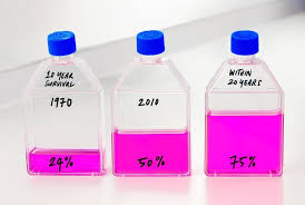 Death rate from cancer fell 31%. Why Are Cancer Rates Rising Gardner S World