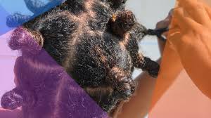 The hairstyle has varying results on different hair types and textures. A Step By Step Guide To Creating Bantu Knots