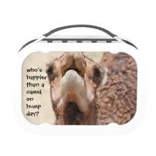 8,536 likes · 1 talking about this. Caleb The Geico Camel