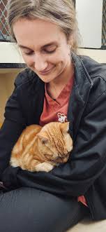 Rehoming a 2-3 year old cat in need of veterinary care