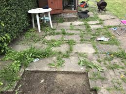 How to lay garden slabs on grass. Uneven Patio Area Bbc Gardeners World Magazine