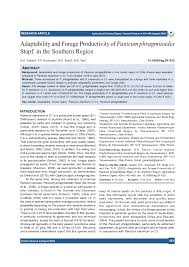 Image result for Panicum phragmitoides