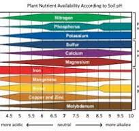 Soil pH and Management Suggestions | Soil Nutrient Analysis ...