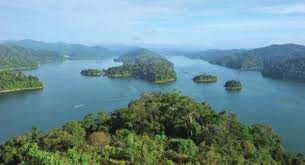 1 ответ 42 ретвитов 22 отметки «нравится». 8 Fakta Menarik Tentang Hutan Royal Belum Mrtengku