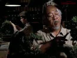 Bonsai In The Karate Kid Movie Bonsai Empire