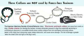 Collars To Use Shock As An Effective Dog Training Method You Will Need A Thorough Understanding Of Ca Dog Training Methods Anti Bark Collar Animal Behavior