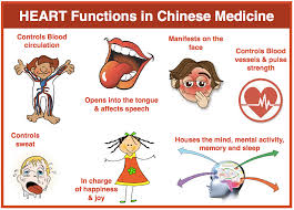My Husband Is On Fire He S Passionate Excited And Always So Happy He S Really The Tcm Heart Person Acupuncture Chinese Medicine Traditional Chinese Medicine