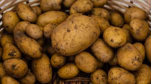 We did not find results for: Tipi Di Patate Tutte Le 36 Varieta Italiane E Come Riconoscerle Dissapore