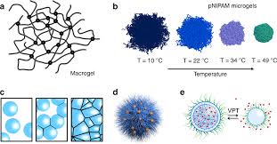 According to these customs, a person's name consists of a given name (simple or composite) followed by two surnames. Pathways And Challenges Towards A Complete Characterization Of Microgels Nature Communications