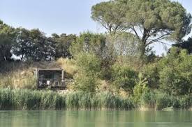 Entre deux voyages, on est toujours à la recherche de petites escapades sympa histoire de s'évader un peu du quotidien. Reservation Cabane Sur L Eau En Vaucluse Cabane Nectar