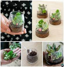 Beauteous Shot Glass Terrarium Diy Mini Fairy Terrarium Garden Ideas Fairy Terrarium Fairy Garden Diy Terrarium Diy