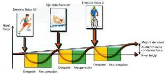 La Carga Perturbacion Desequilibrio Homeostasis Equilibrio Fatiga Cansancio Relajacion Recuperacion Adap Deportes Adaptacion Entrenamiento