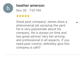 Bugs pest control in florida? Bug Eyes Pest Control Llc Facebook