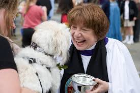 Help me to find the pet i have lost so that i will be able to make better use of the time i will gain for god's greater honor and glory. Bless Your Pets And Their Little Animal Souls This Week Dcist