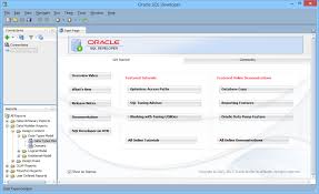 Download Oracle Sql Developer 19 2 1 247 2212