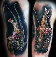 We did not find results for: 50 Praying Mantis Tattoo Designs For Men Insect Ink Ideas