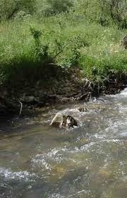 Related image
