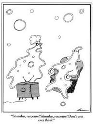 Far Side Stimulus Response Far Side Cartoons Science Cartoons The Far Side