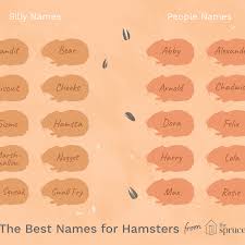 Accurate kundali match making is. 100 Names For Pet Hamsters