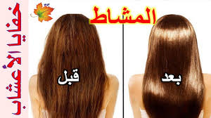 المشاط عشبة لشعر اكثر من راااائع Long Hair Styles Hair Styles Hair