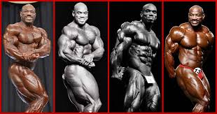 We did not find results for: Hot Stuff Seite 37 Von 128 Gannikus De